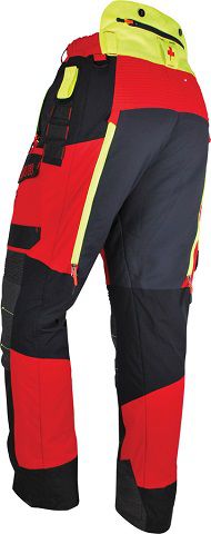 INPA_2.jpg INPA_2.jpg