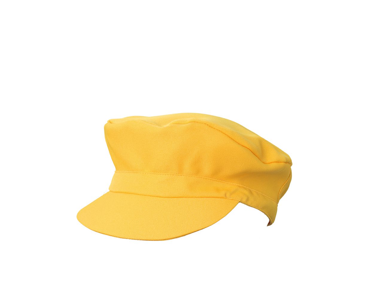 MT020908.jpg MT020908.jpg